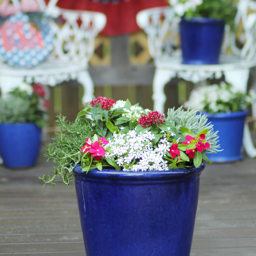 flowers and herbs