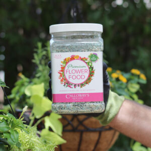plant food