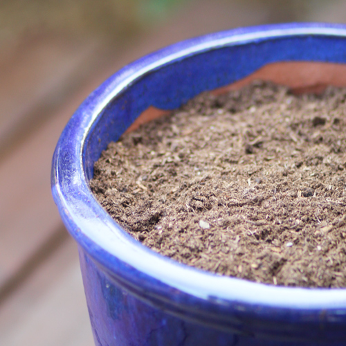 potting soil
