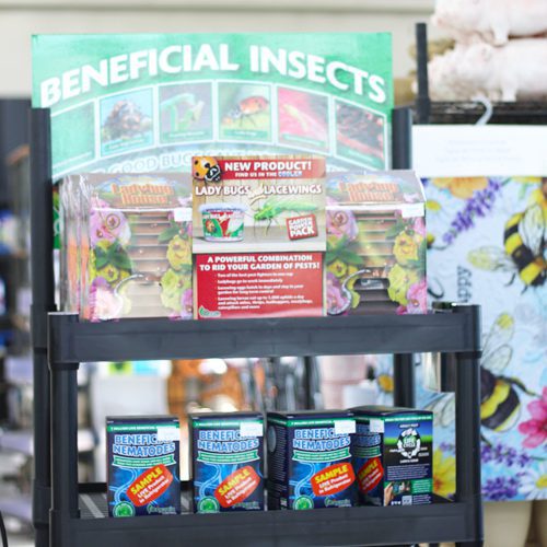 beneficial insects
