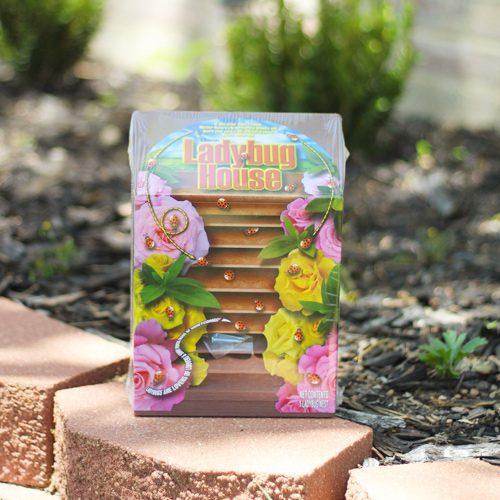 lady bug house