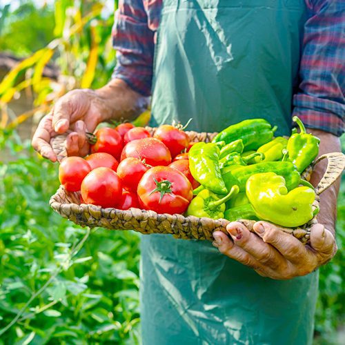 vegetables