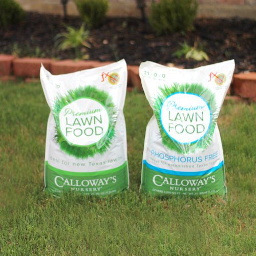 Calloway’s Premium Lawn Foods | Calloway's Nursery