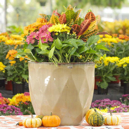 fall flower arrangements