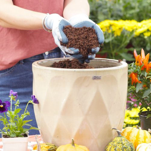 potting soil