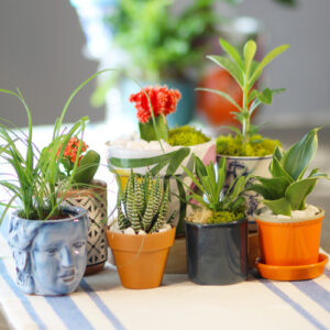small gift ideas