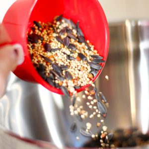 bird seed