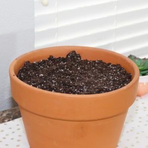 potting soil