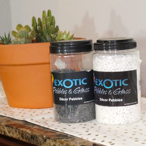 exotic decor pebbles