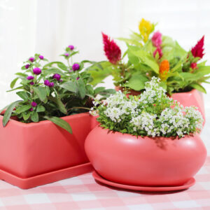 whimsical container gardens