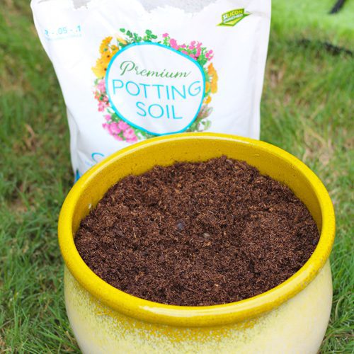 calloway's premium container potting soil