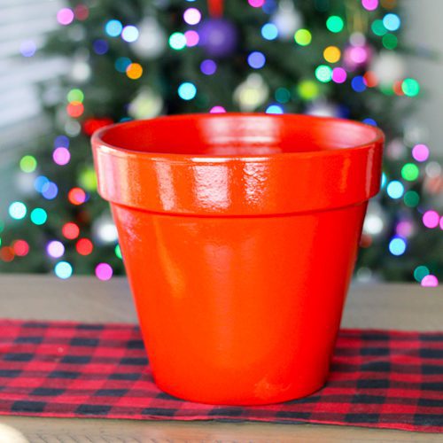 Red Terra Cotta Pot for Christmas Holidays | Calloway's Nursery