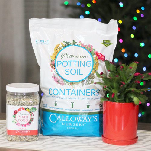 potting soil and plant food