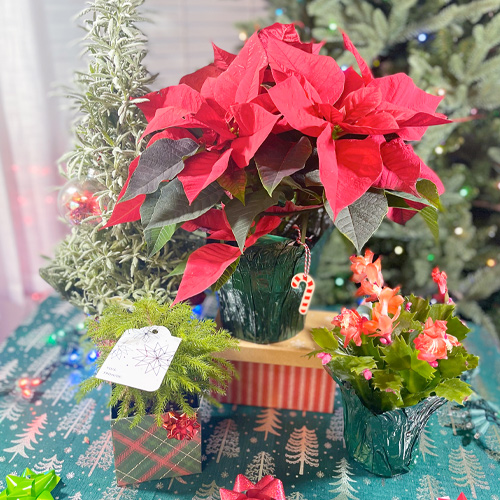 christmas gift ideas