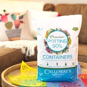 calloway's premium container potting soil