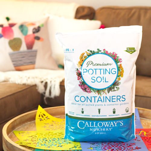 calloway's premium container potting soil