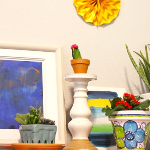 cinco de mayo display close up