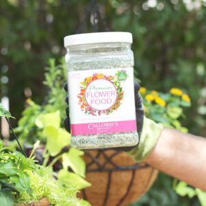 calloway's premium flower food