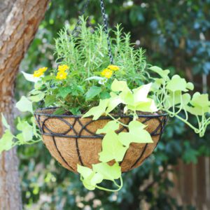 hanging basket