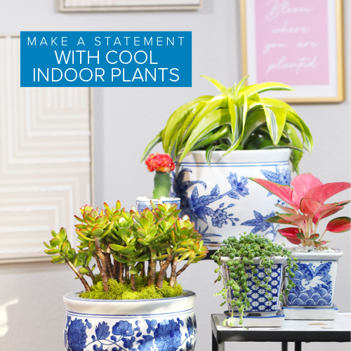 indoor gardening