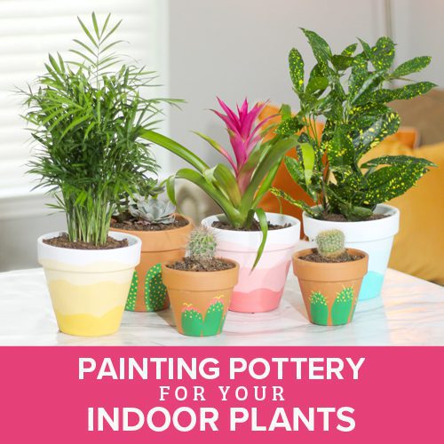 Painting Pottery for Your Indoor Plants | Calloway’s Nursery
