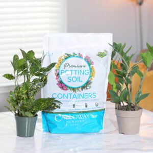 calloway's premium container potting soil
