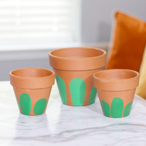 Cactus Base Paint Around Terra Cotta Pots for Cactus Pottery Painting | Calloway’s Nursery