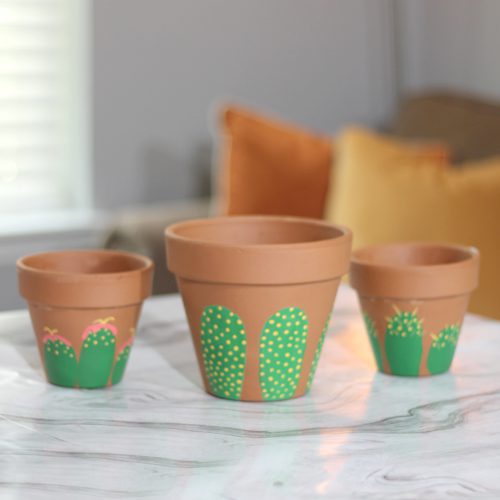 Painted Cacti Terra Cotta Pots for Cactus Pottery Painting | Calloway’s Nursery