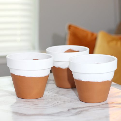 Terra Cotta Pottery Painting for Indoor Plants | Calloway’s Nursery