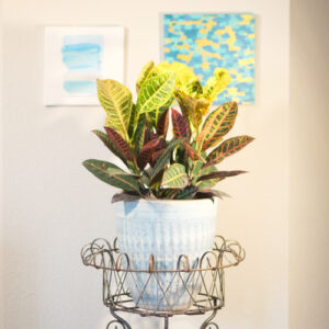 decorative pottery
