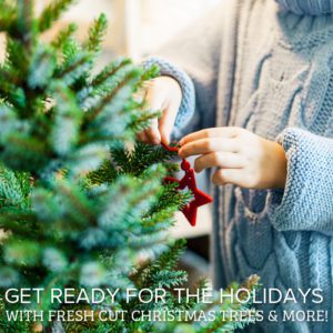 christmas trees