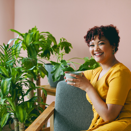 wellness with indoor plants
