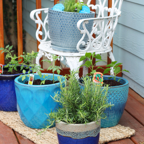 Compact Veggie Garden