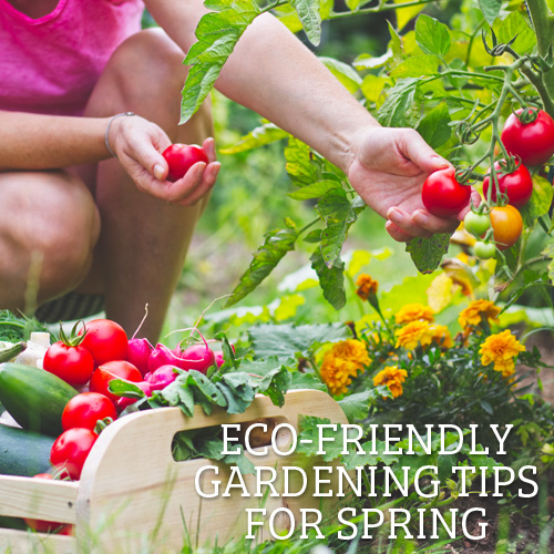 eco-friendly spring gardening tips