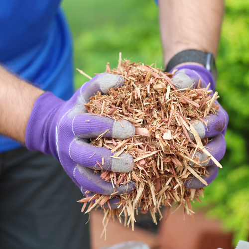 mulch