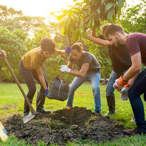 Planting Trees for the Future: How Your Actions Today Can Benefit Future Generations | Picture of people planting a tree