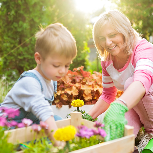 gardening for spring