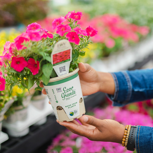 Benefits of Using Proven Winners® Eco+ Grande™ Pots in Your Garden