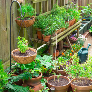 small space gardening