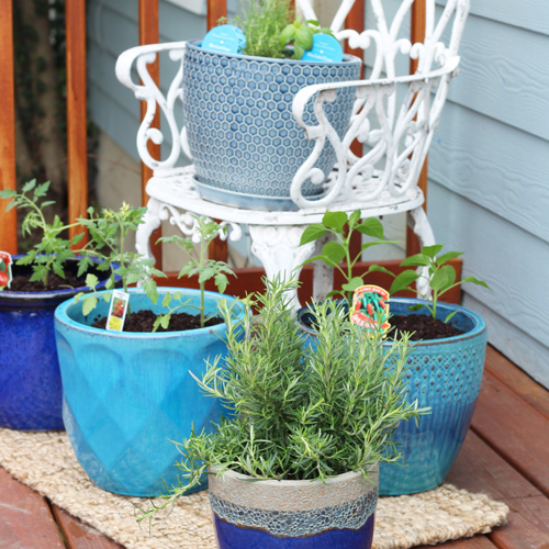 small space edible gardens