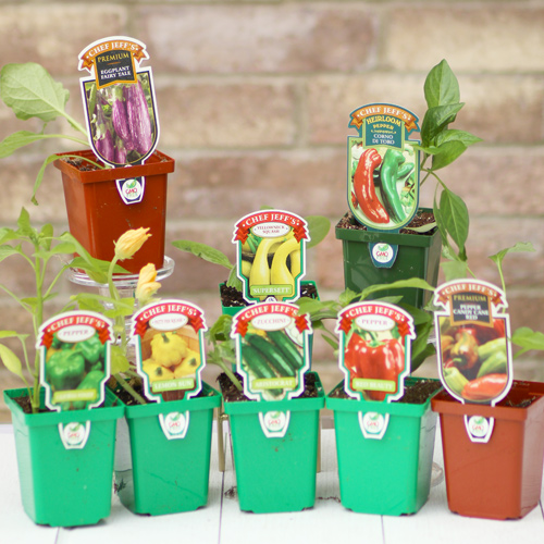 vegetables for italian themed garden