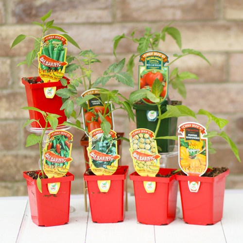 salsarific vegetables