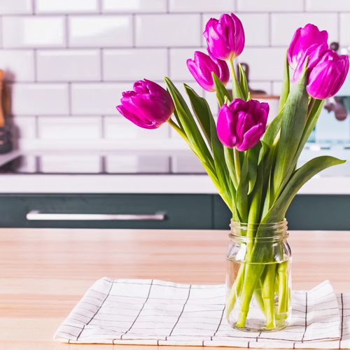 Tulips for Fall Bulbs | Calloway's Nursery