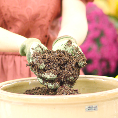 potting soil