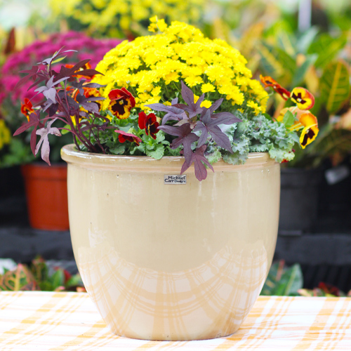 container garden with garden mums
