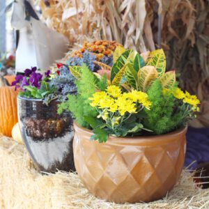 fall gardening ideas