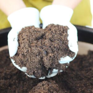 calloway's premium container potting soil