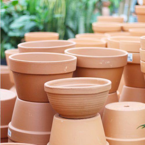  Terra Cotta Pottery for Fall Planting With Croton | Calloway's Nursery