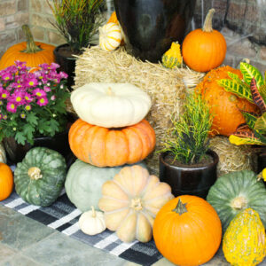 pumpkins in display