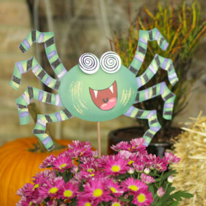 spider